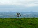 Slievecoiltia- 014
